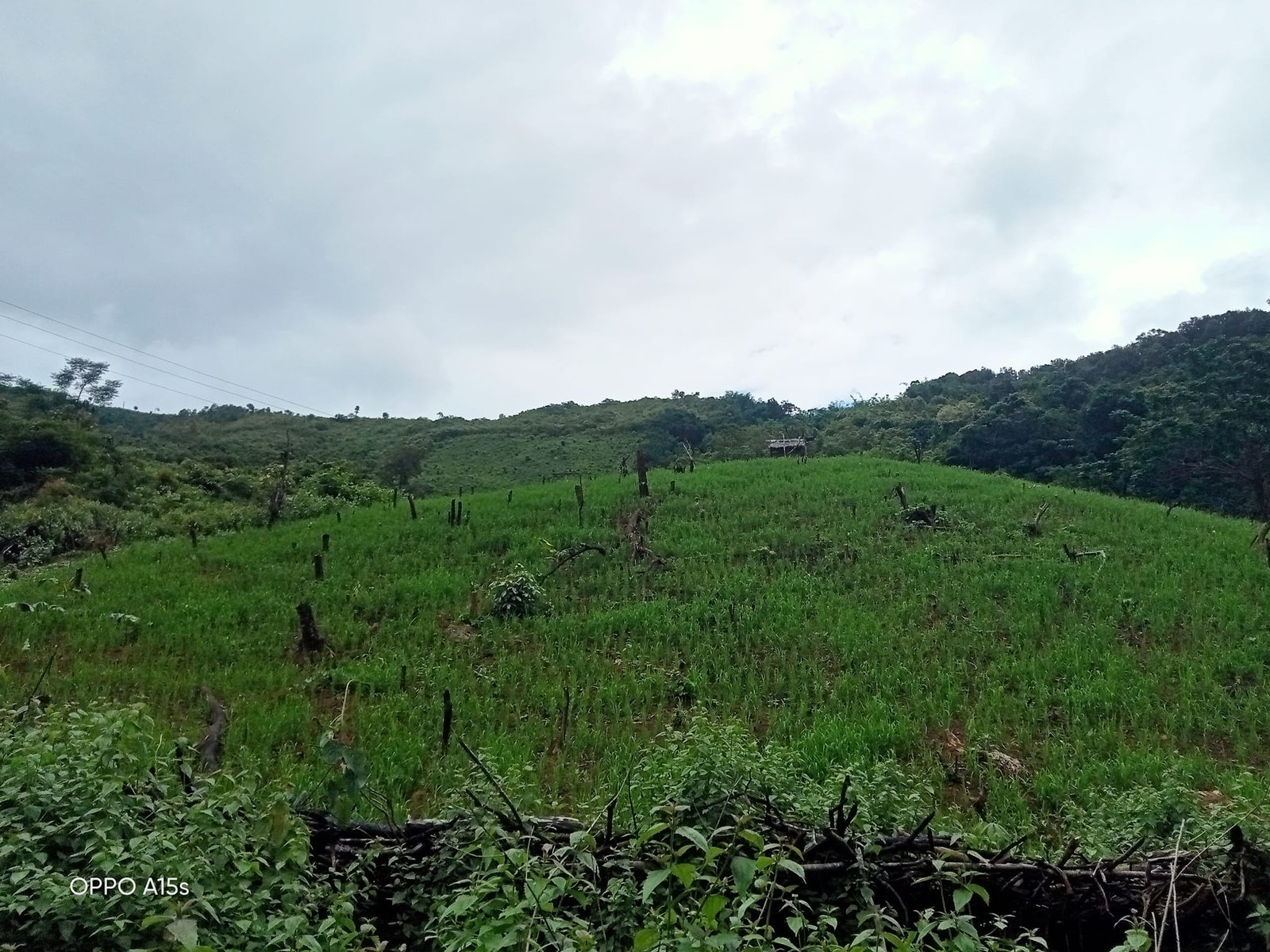 3 Days Hike In Dam Sopngam Peryanxangmai Peryenxangkao Nam Porxang - Chakhampa